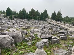 -原山国家森林公园