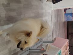 -肆兮眼镜·蔡司·徕卡战略合作店(大坪店)