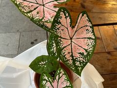 -瑞虹新天地月亮湾