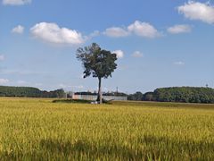-嘉北郊野公园