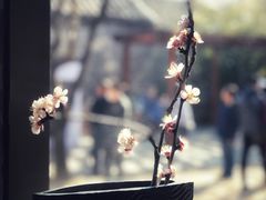 -红楼梦邮局
