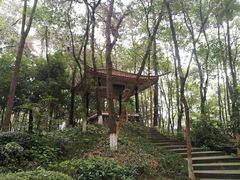-忠山公园