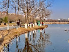 -前关湿地公园