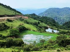 -大姆山草场