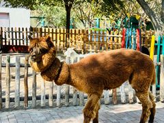 -水上乐园·欢乐世界