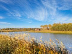 -春花秋色城市公园