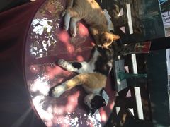 iphone_upload_pic-杨桃院子旅馆(厦门鼓浪屿中华红墨店)