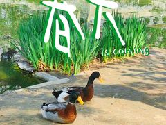 -三里河公园