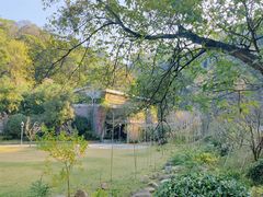 -金鸡山公园