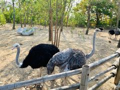 -大连森林动物园