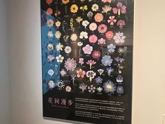 -四川大学博物馆