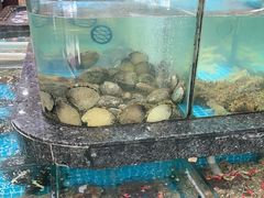 -渔码头食府(蓬莱阁店)