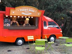 -济州岛泰迪熊博物馆