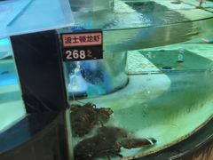 -宝园酒家(美林M·LIVE天地东座店)