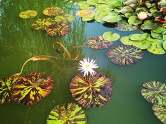 -国家植物园南园