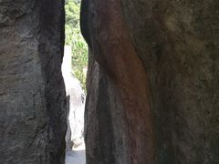 -金鸡山公园
