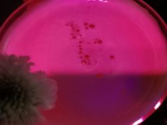 -音乐房子(鎏嘉码头店)