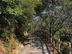 -大岭沟猕猴桃谷风景区