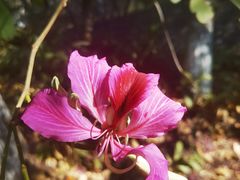 -攀枝花公园