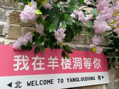 -羊楼洞