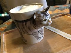 -猫猫幼稚园·撸猫·桌游·电玩