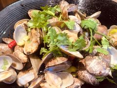 红岛花蛤-老胖串店(浆水泉路店)