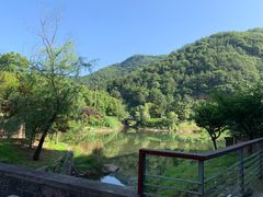 -宁波五龙潭景区