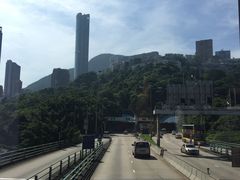 -宠福鑫动物医院(立水桥分院)
