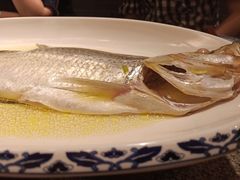 鸡汁白鱼-南京大牌档(济南万象城店)