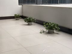 -宜尚酒店(武汉江汉路步行街店)