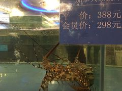 -都市阳光海鲜城(青山湖店)