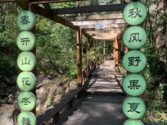 -大岭沟猕猴桃谷风景区