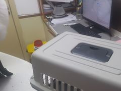 -宠颐生宠物医院·心肾内科·猫专科诊疗中心宠巢店