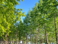 -苏州湾体育公园