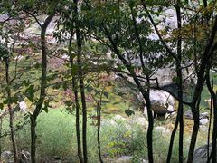 -燕子河大峡谷天坑仙境