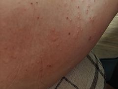 -上海市嘉定区中医医院