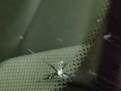 -鲨鱼皮汽车凹陷玻璃修复(静安店)