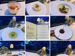 -迪拜帆船酒店海底餐厅