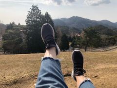 -神户市立六甲山牧场