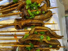 鳝鱼-晓靖轩烧烤(沙河风情店)