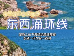 -西涌国际滨海旅游区