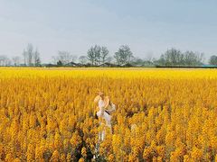 -中国天府农业博览园