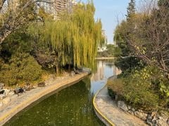 -紫光园·烤鸭·北京菜(团结湖店)