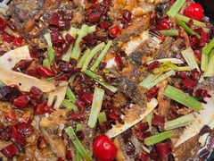 -老板恋上鱼(恒隆广场店)