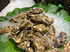 -齐河孔雀王温泉酒店·金孔雀自助百汇