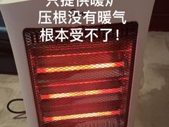 -河源万绿湖美思威尔顿酒店