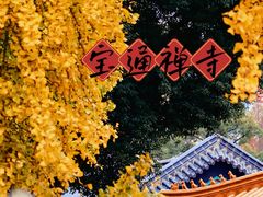 -宝通禅寺