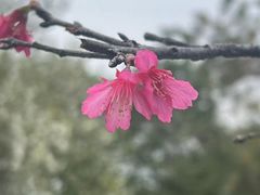 -海珠湖公园