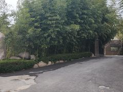 -清雅臻品·竹林院落·新派青岛菜(崂山店)