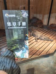 -未来动物城动物主题公园(大悦城店)
